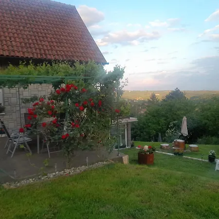 ゲストハウス Milicin